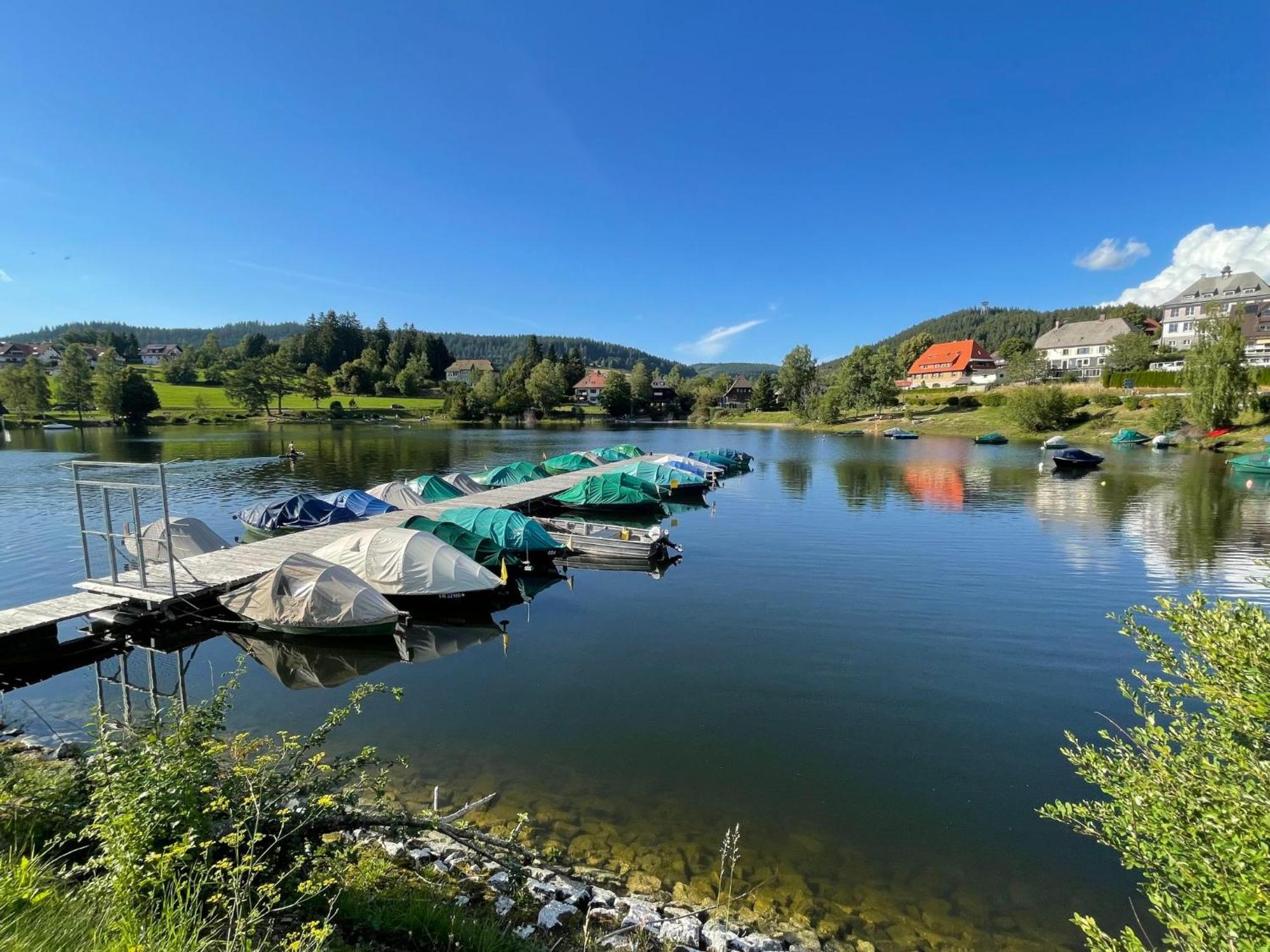 Apartment App- 2411 - Kurhotel Schluchsee - Sse610 By Interhome Екстер'єр фото